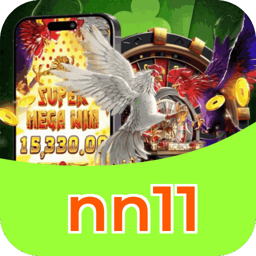 Interface nn11